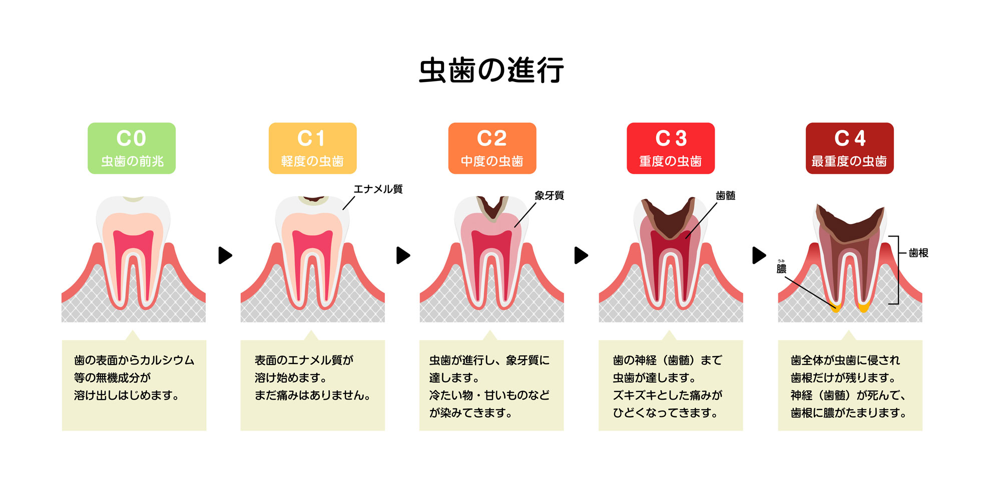 活動歴および当時の関連ビジュアル記録